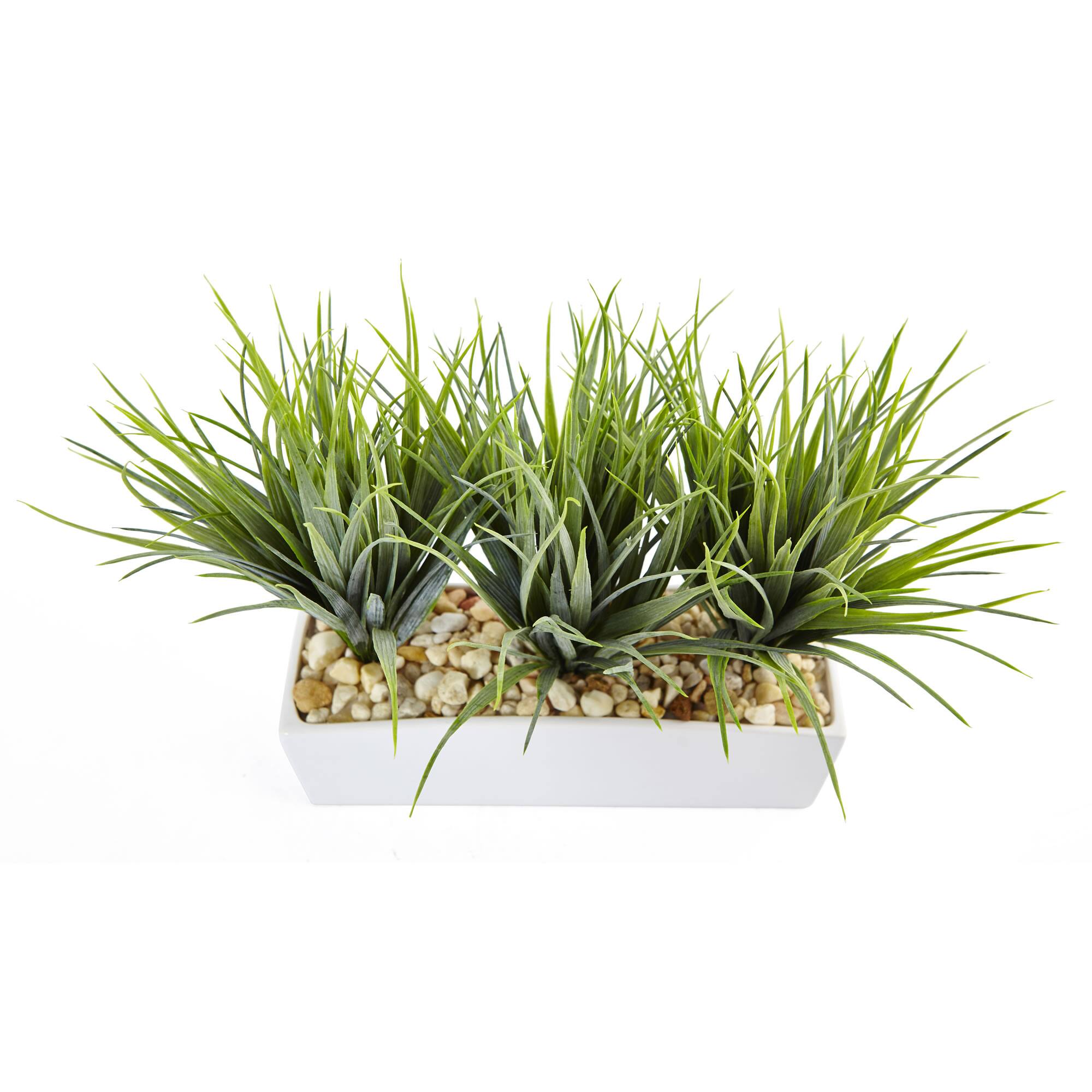 12" Vanilla Grass in White Rectangular Planter